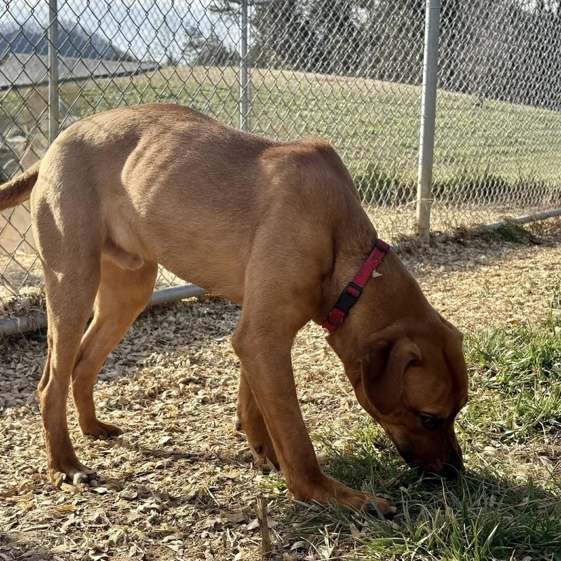 Buddy Guy thumbnail 5