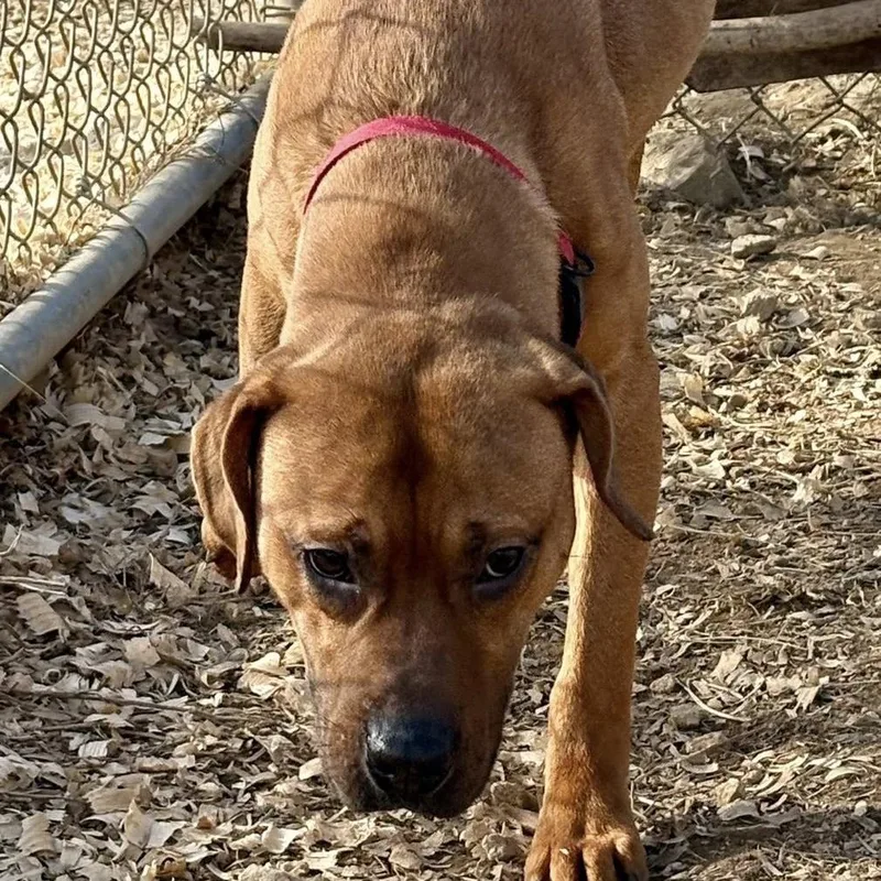 Buddy Guy thumbnail 6