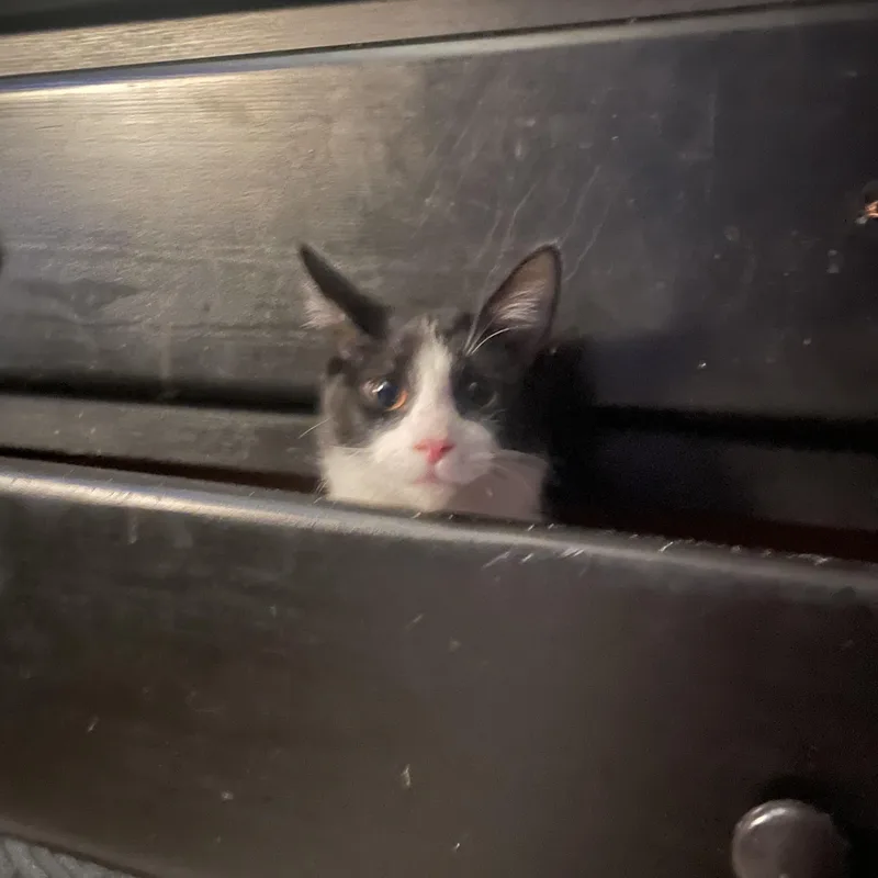 Mr. Spooky thumbnail 3