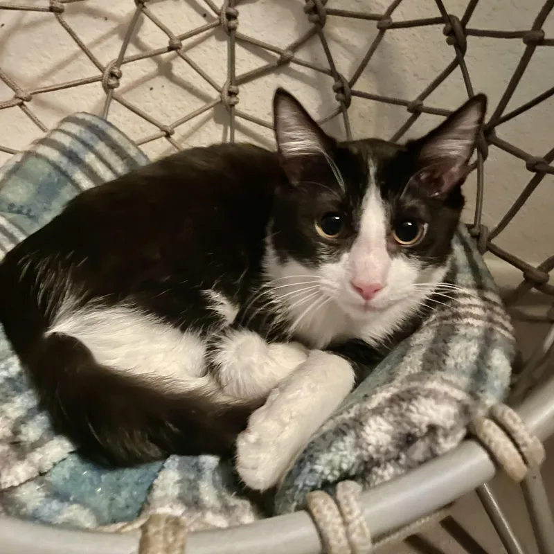 Mr. Spooky thumbnail 4