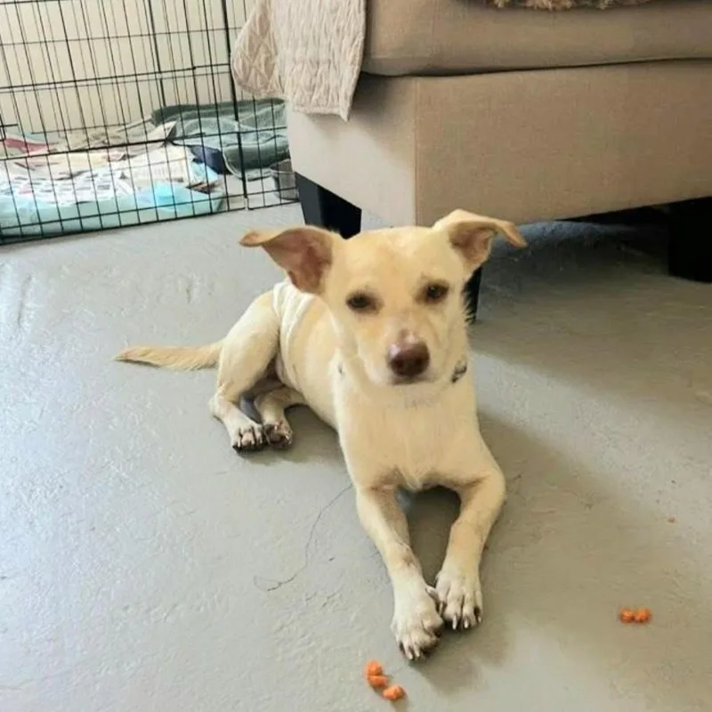 Michael "the Beach Baby thumbnail 2