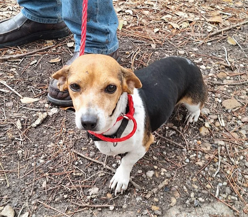 Coletta Orthw thumbnail 2