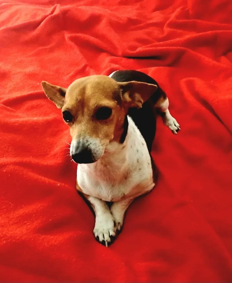 Coletta Orthw thumbnail 5