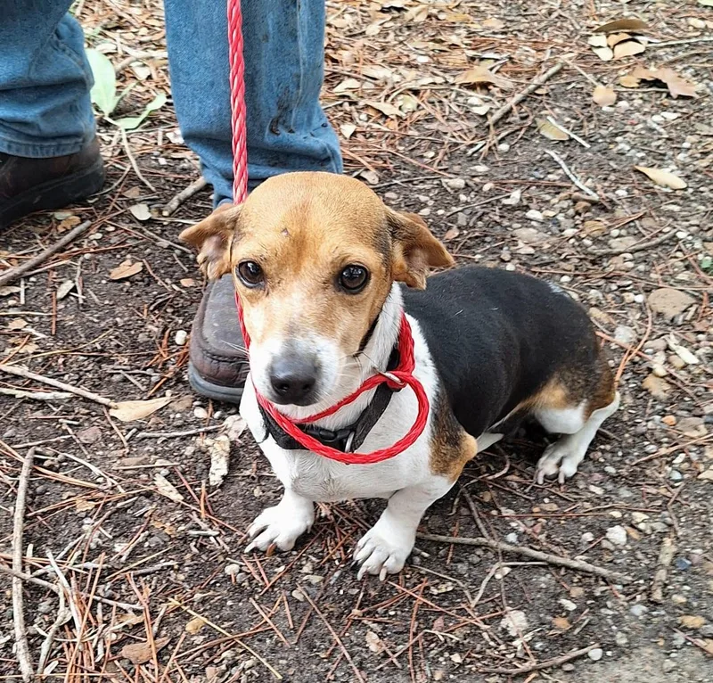 Coletta Orthw thumbnail 6