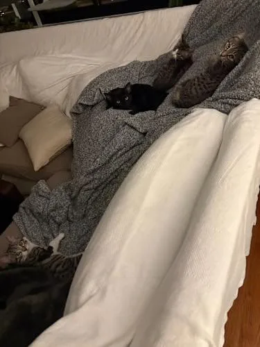 Comet And Star thumbnail 2