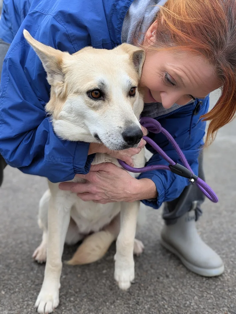 Charlotte thumbnail 2