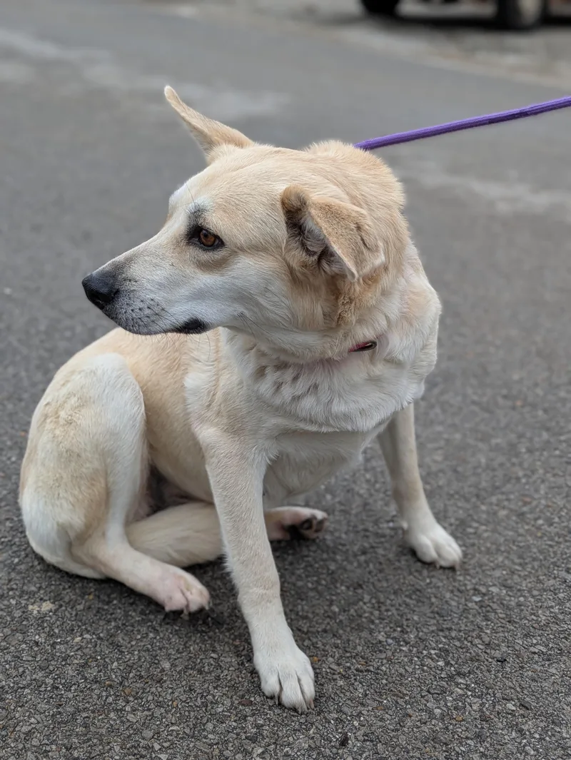 Charlotte thumbnail 3