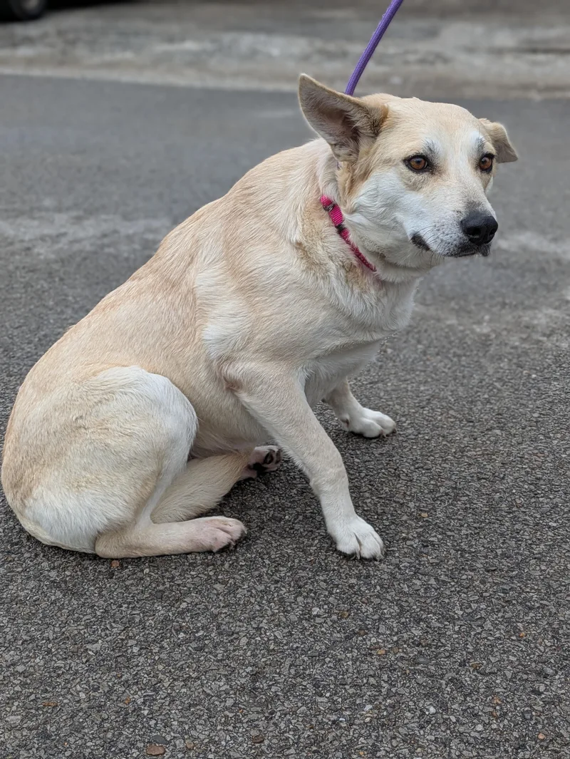 Charlotte thumbnail 4