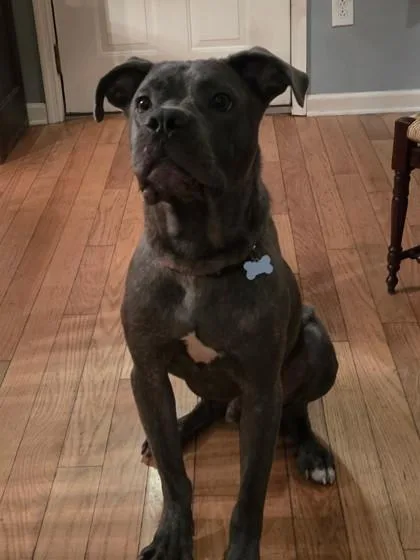 Evander Twigg thumbnail 2