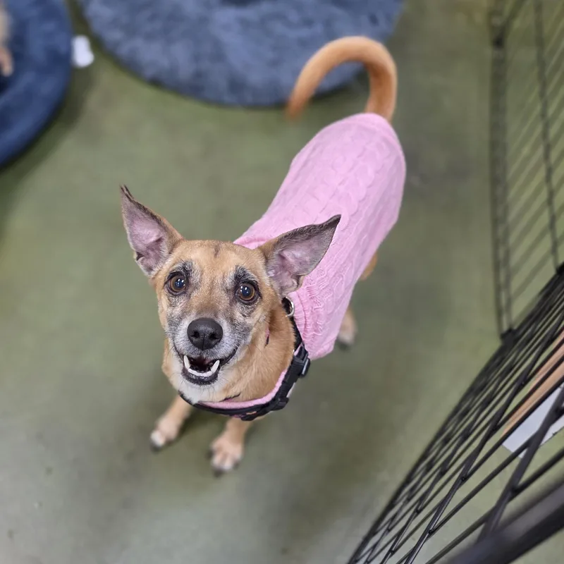 Riley Ann thumbnail 2