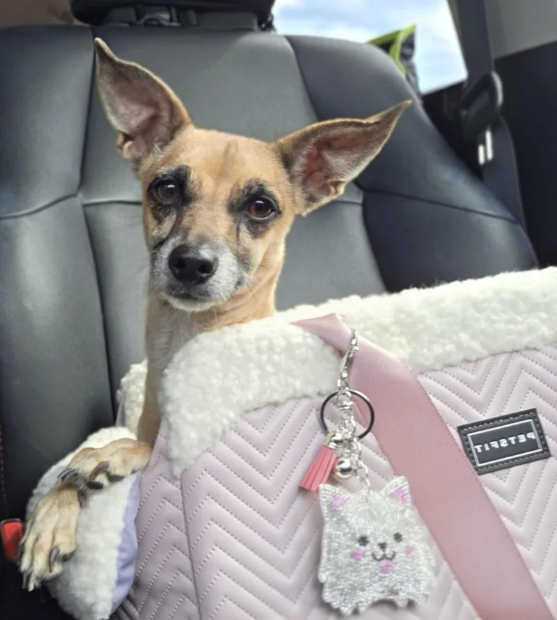 Riley Ann thumbnail 3