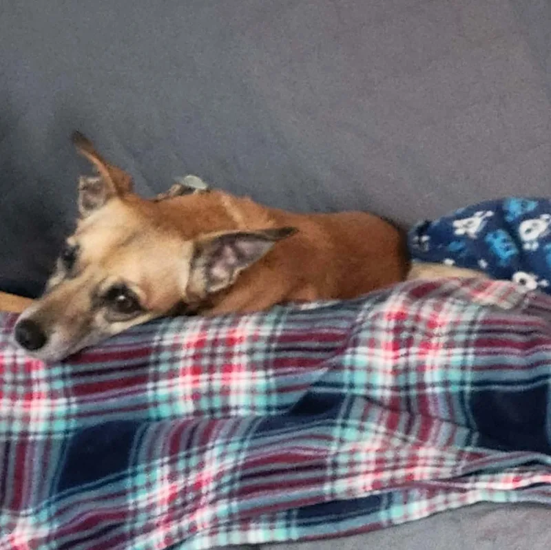 Riley Ann thumbnail 4