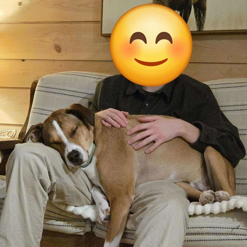 Copperfield thumbnail 3