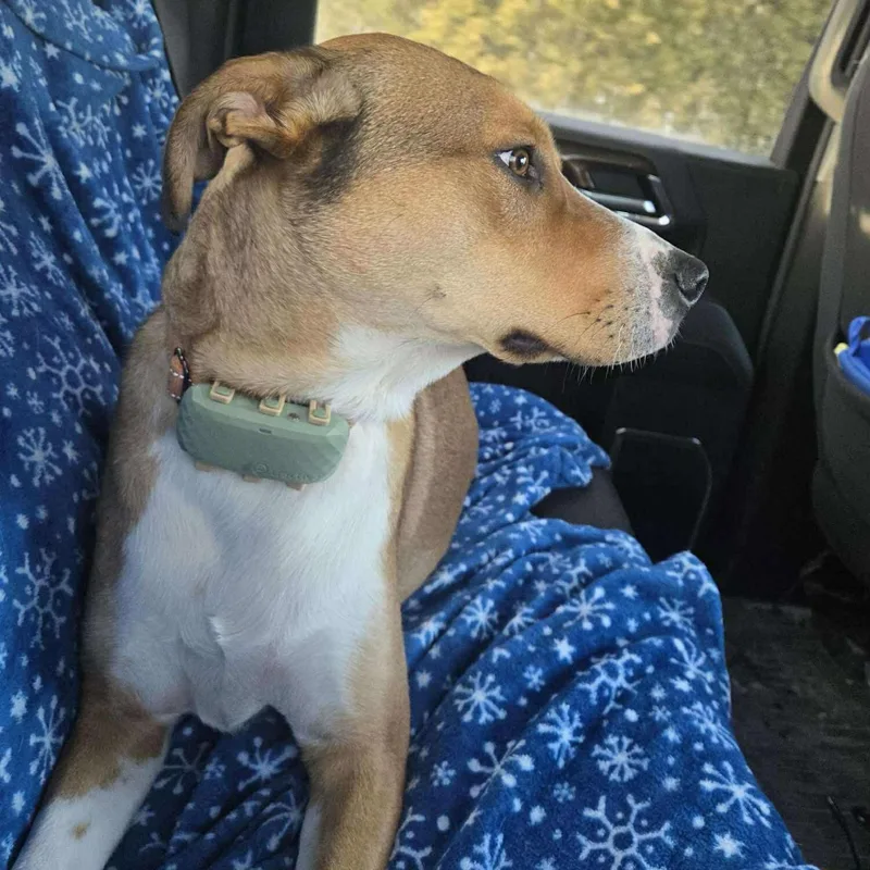 Copperfield thumbnail 5