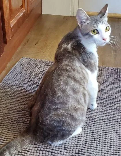 Rosaleen thumbnail 3