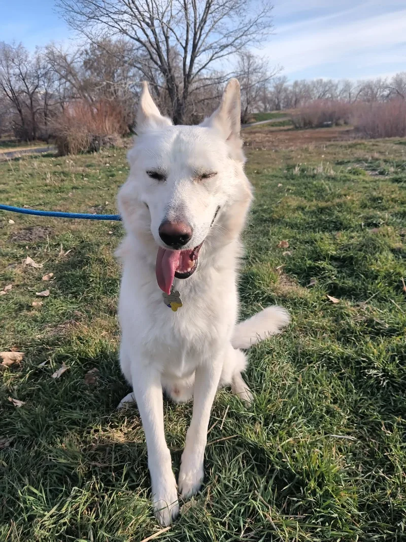 Bestest Buddy thumbnail 2