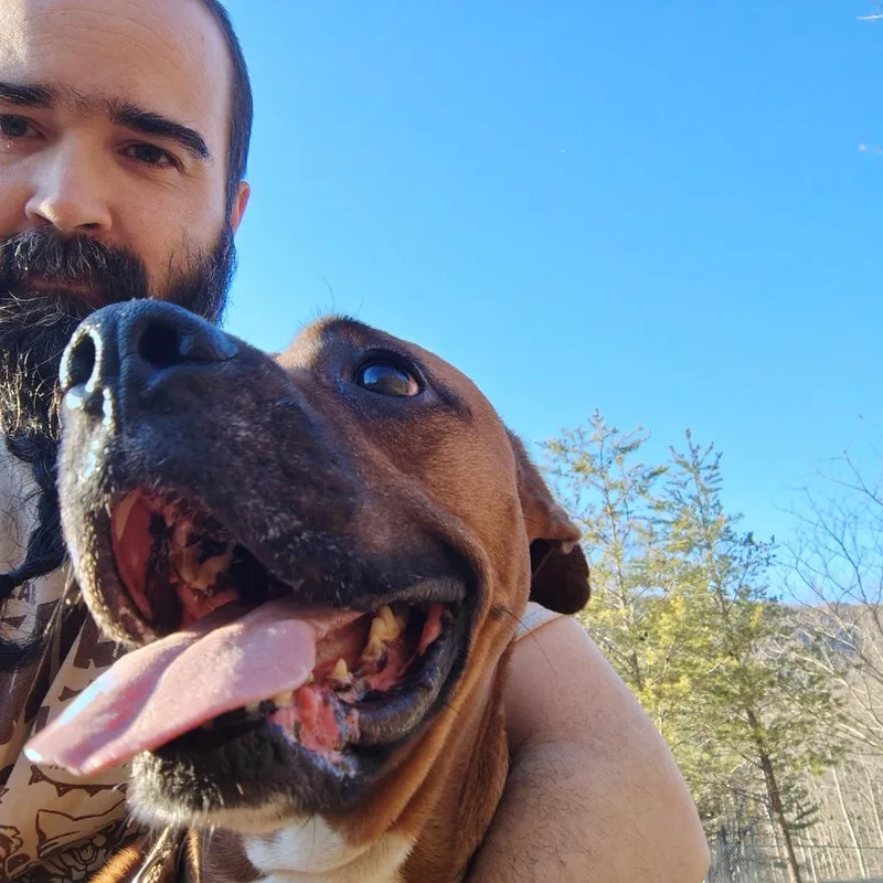 Mr Wiggles thumbnail 3