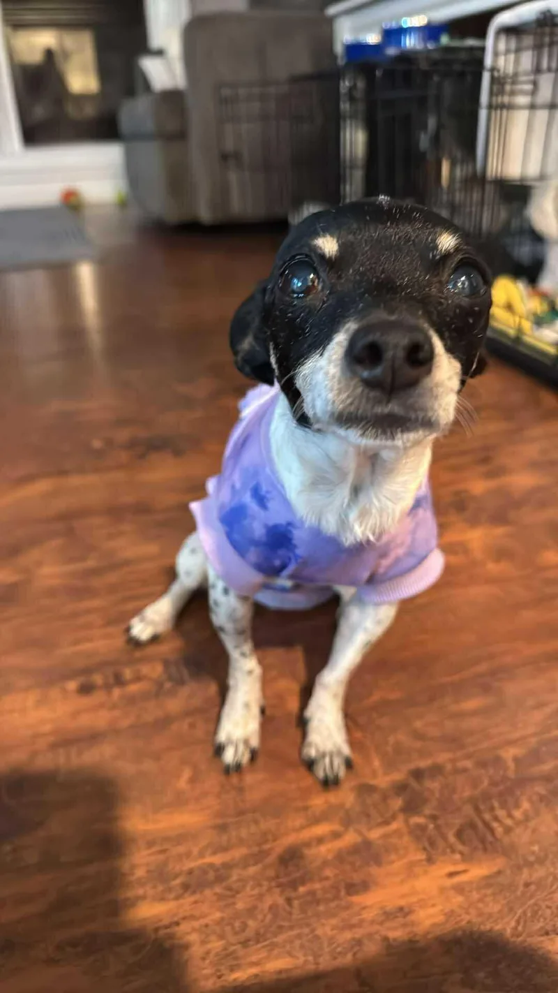 Cranberry! thumbnail 3