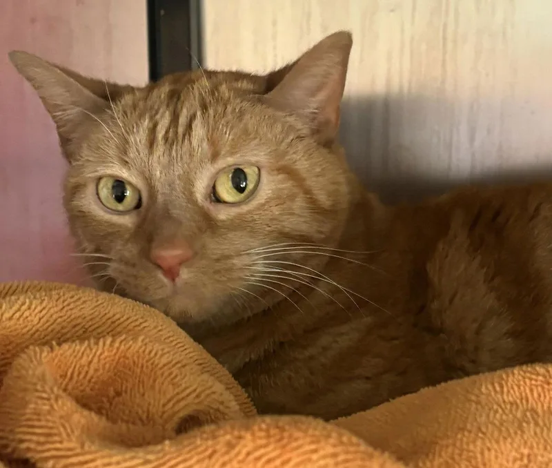 Sunshine thumbnail 2