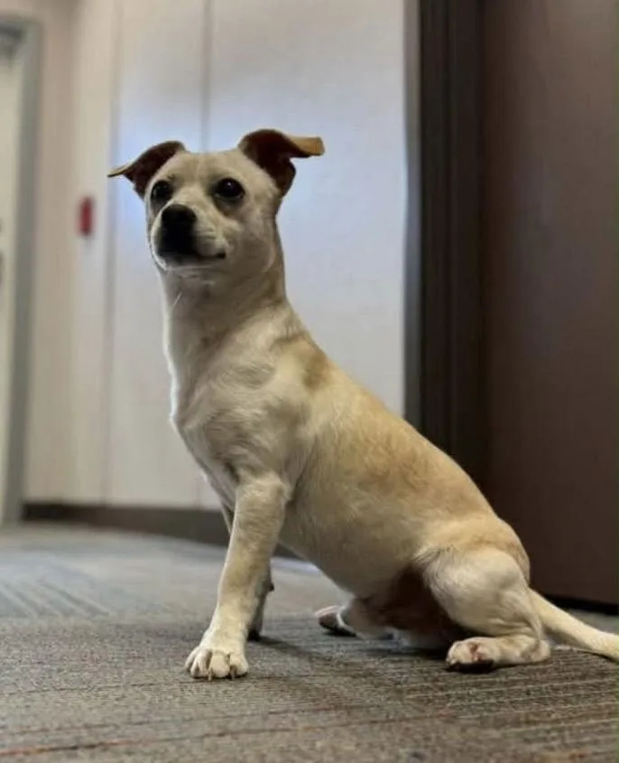 Hemingway thumbnail 2