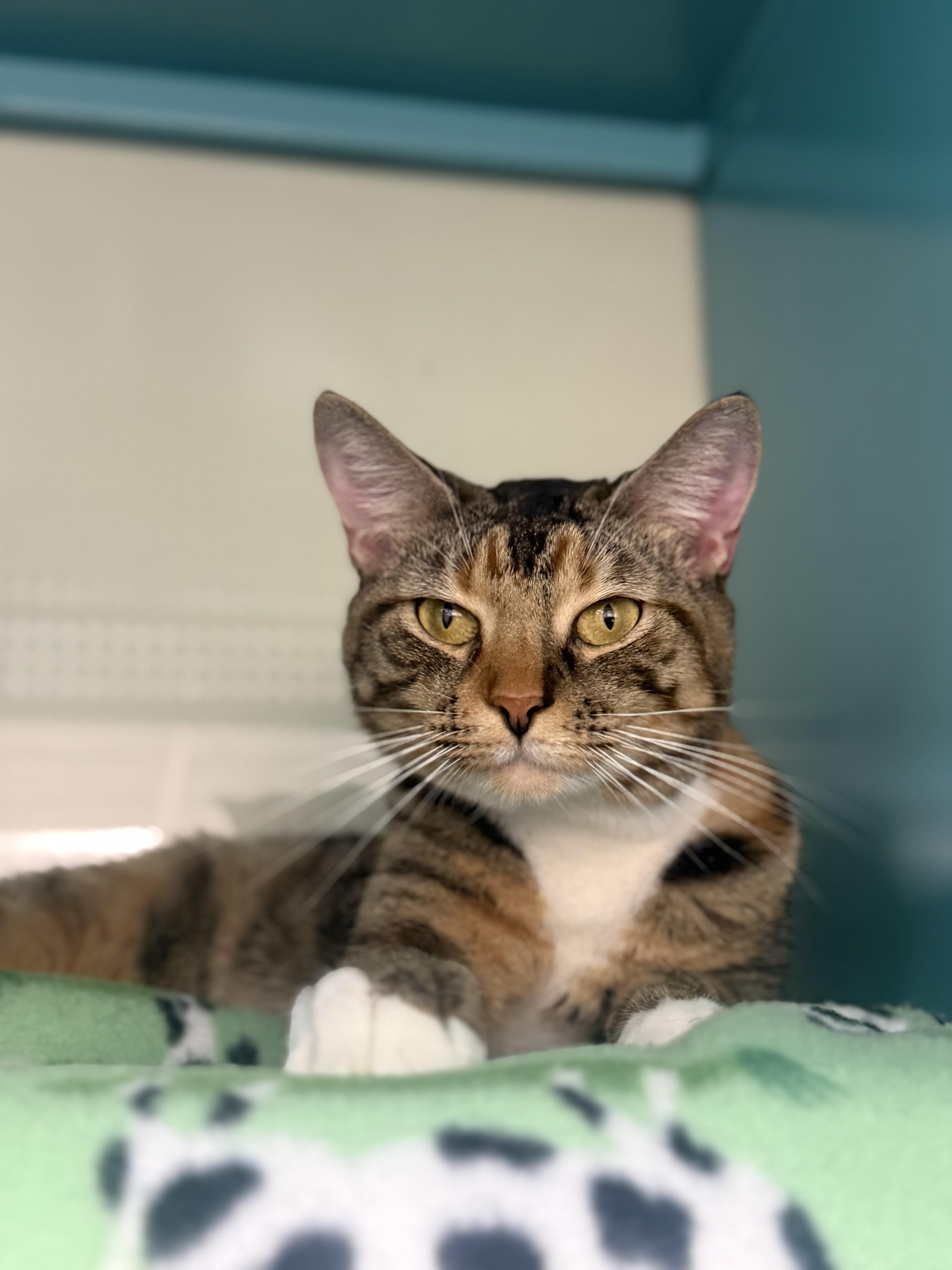 Svetlana thumbnail 2