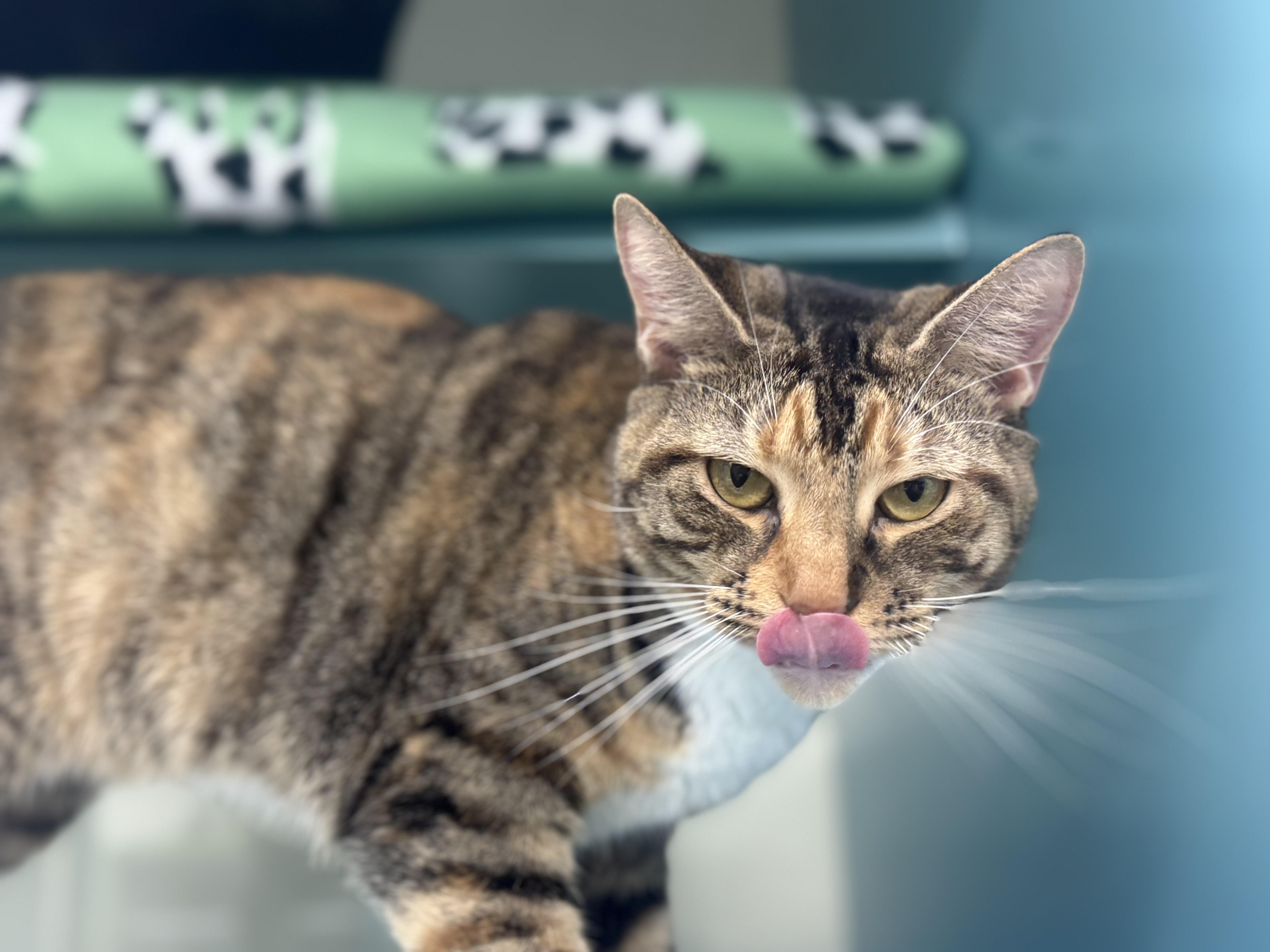 Svetlana thumbnail 3