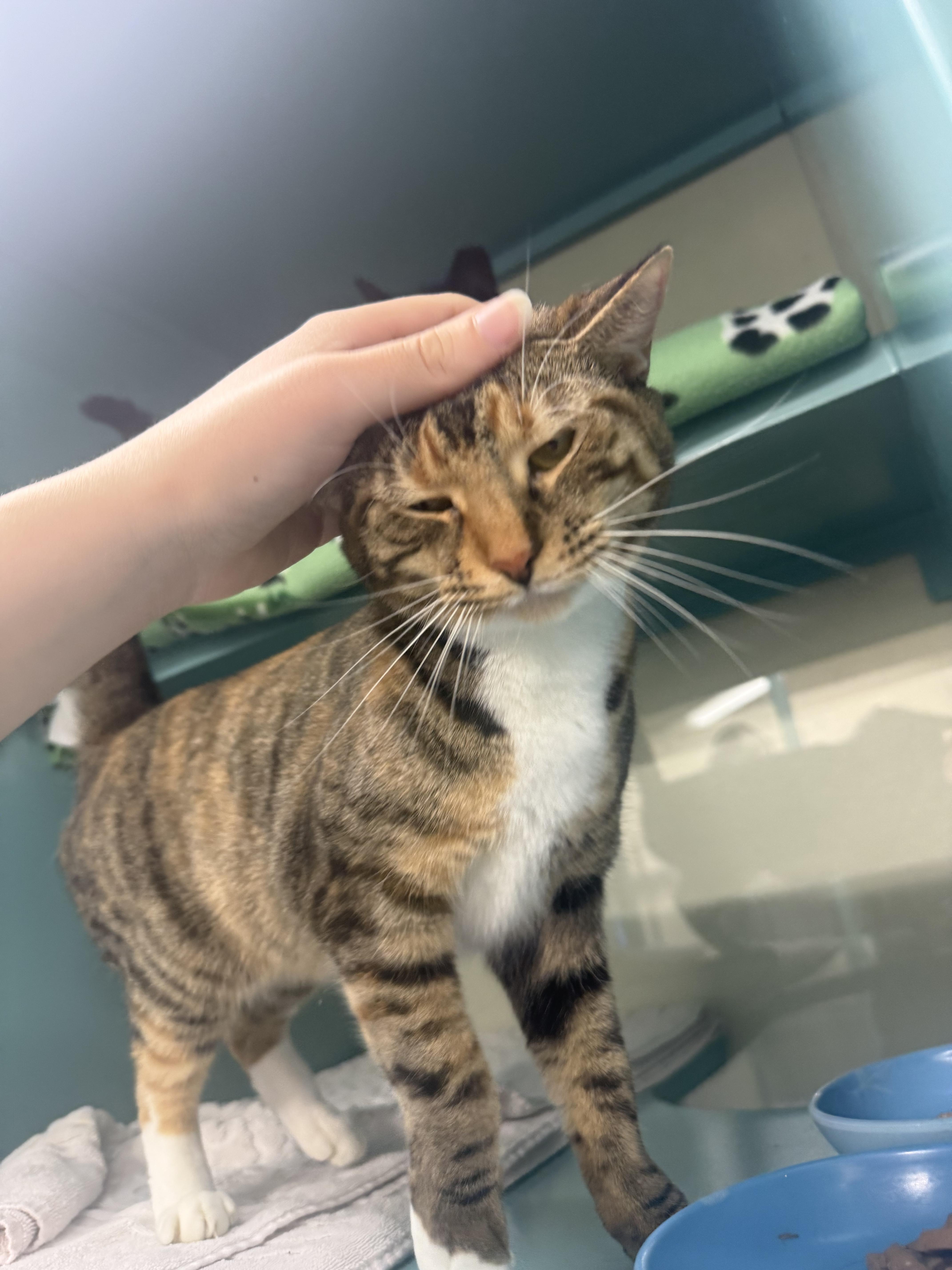 Svetlana thumbnail 4