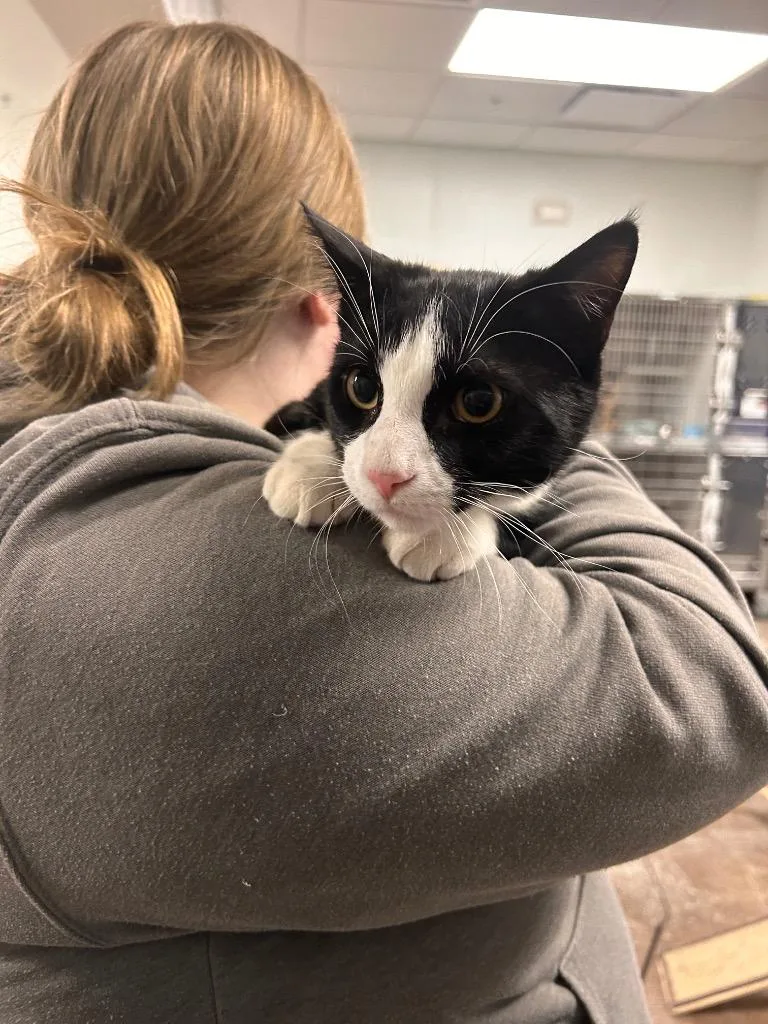 Spiderman thumbnail 3