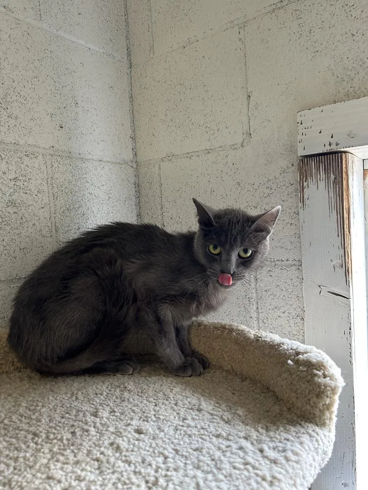 Marceline thumbnail 2