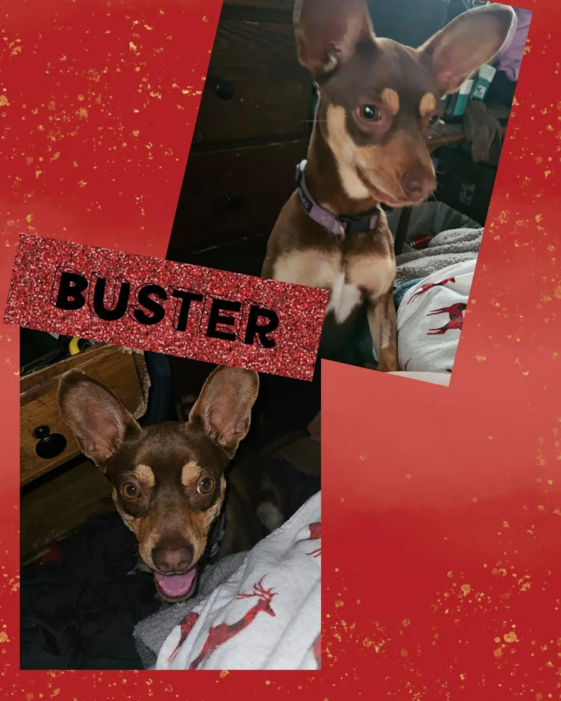 Buster