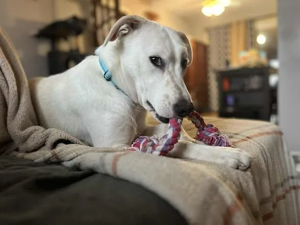 Madeline thumbnail 2