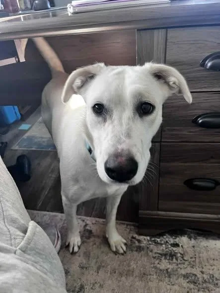 Madeline thumbnail 3