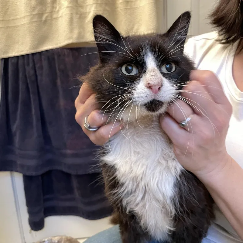 Marshall thumbnail 2