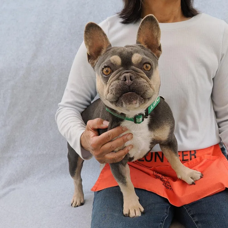 Princess thumbnail 5