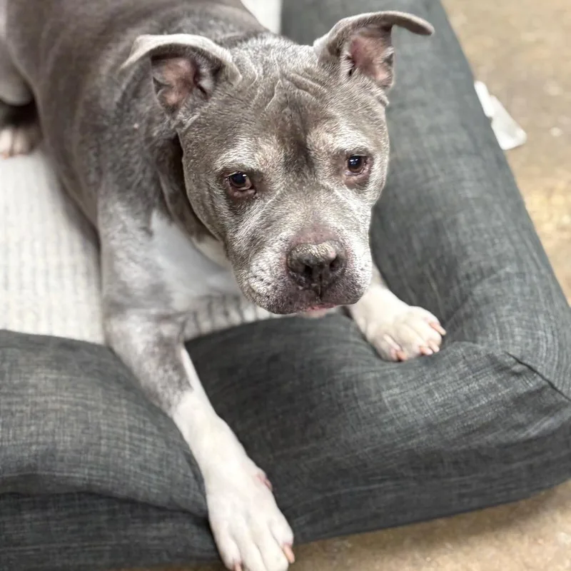 Mr. Rogers thumbnail 2