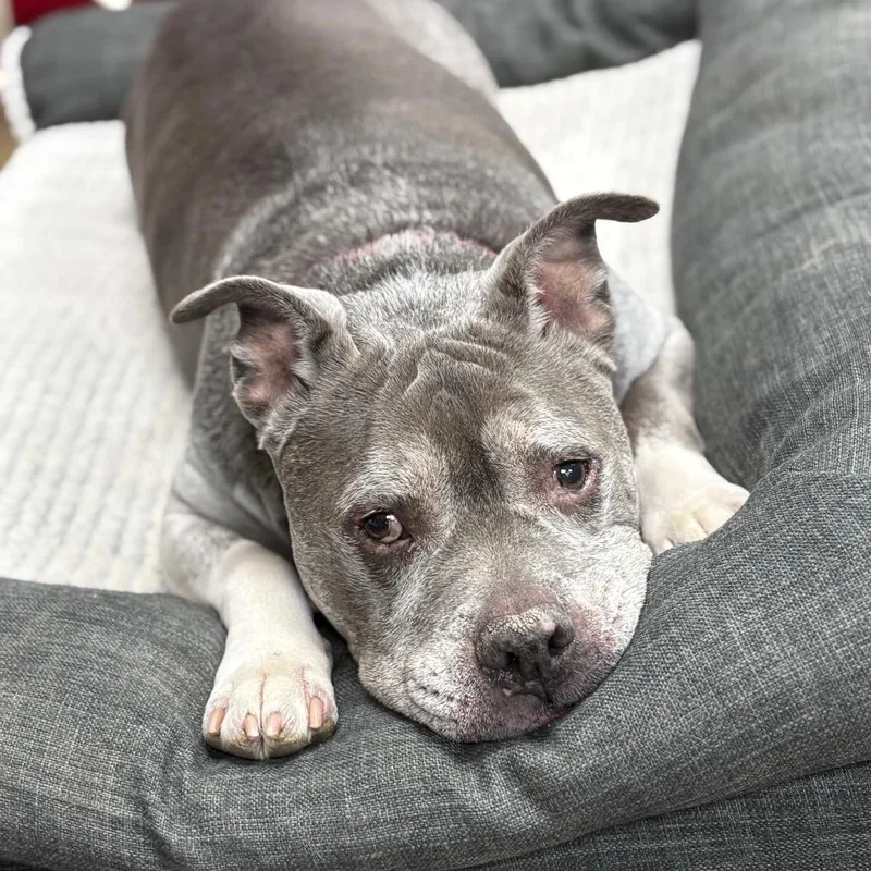 Mr. Rogers thumbnail 3