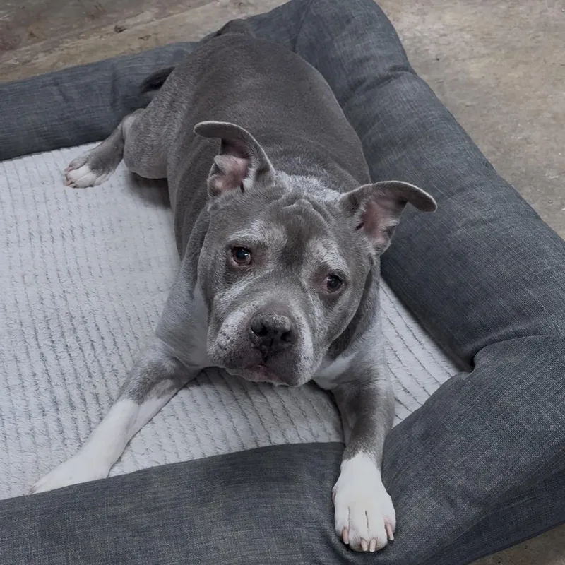 Mr. Rogers thumbnail 4