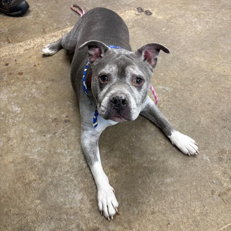 Mr. Rogers thumbnail 5