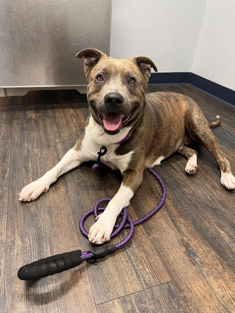 Queen Latifah thumbnail 2