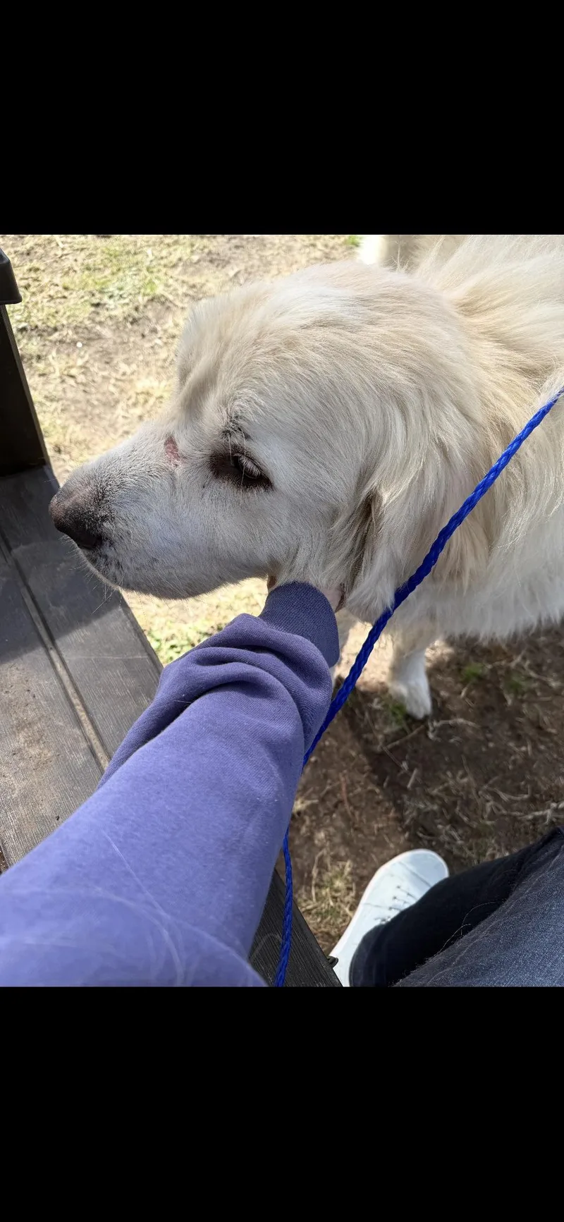 Judd Htx thumbnail 2