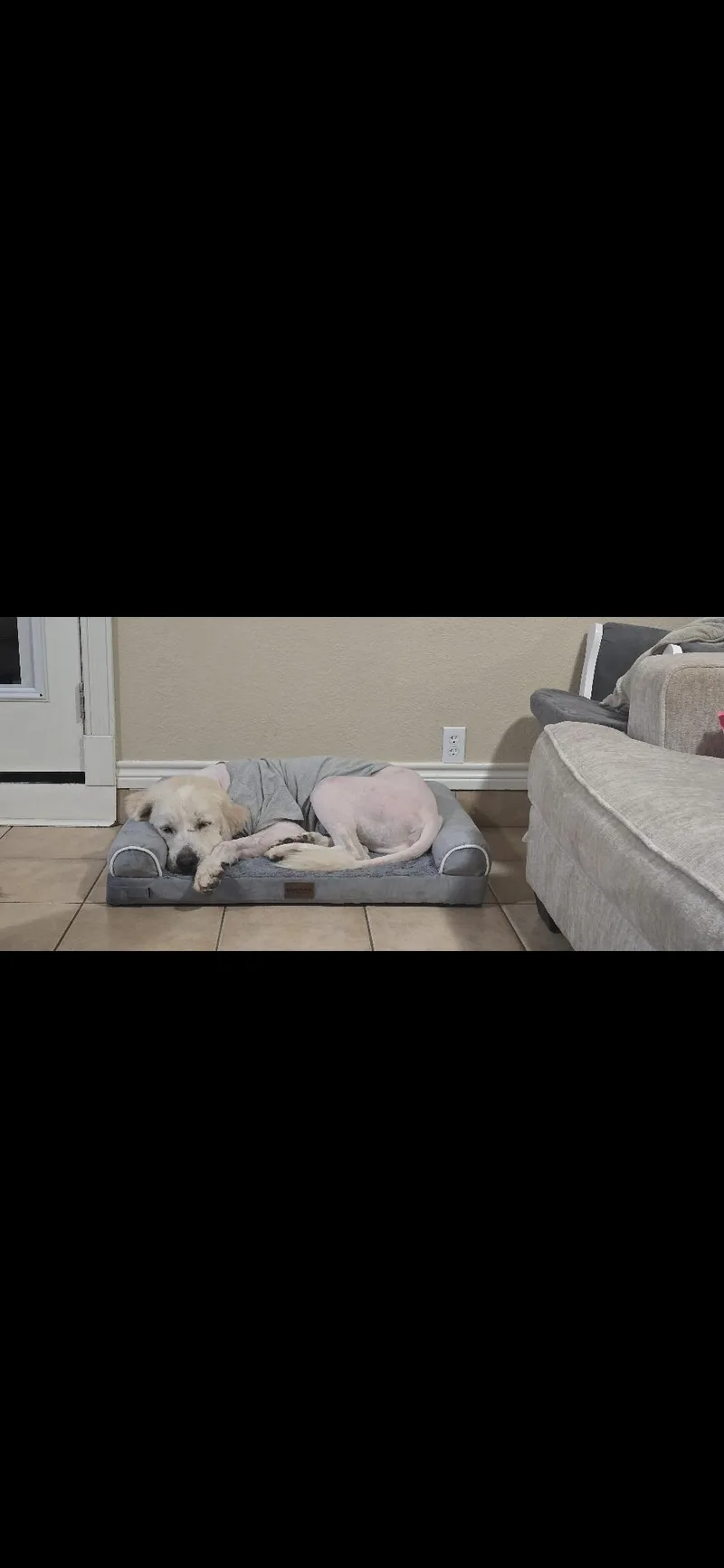 Judd Htx thumbnail 3