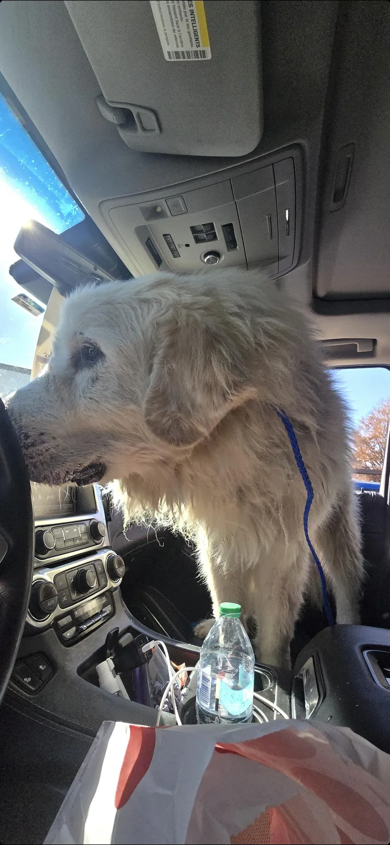 Judd Htx thumbnail 4