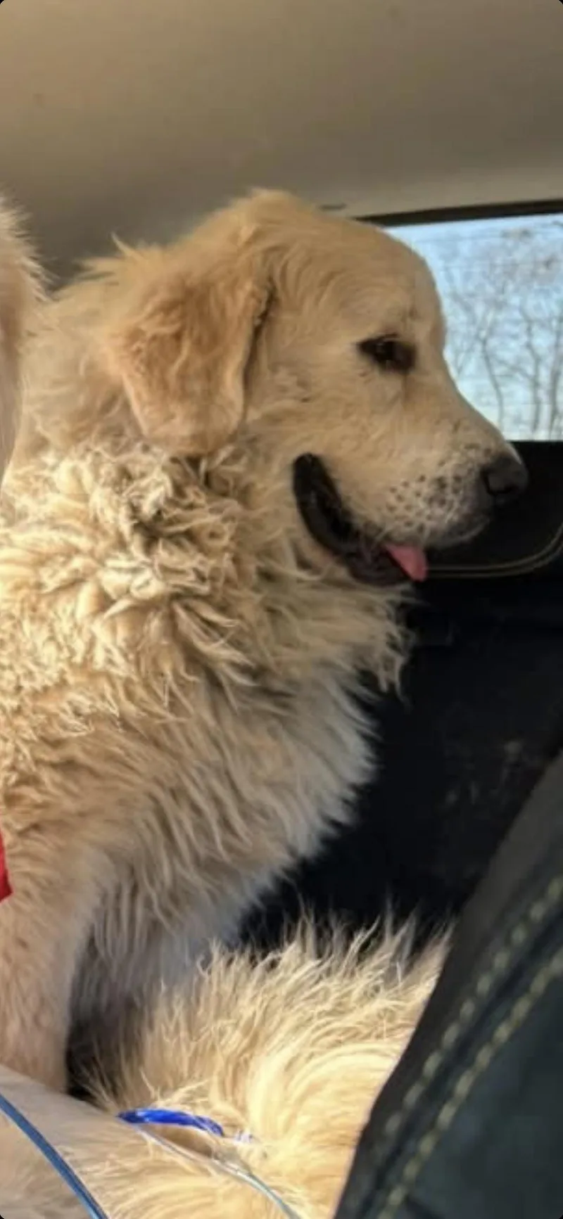 Judd Htx thumbnail 5