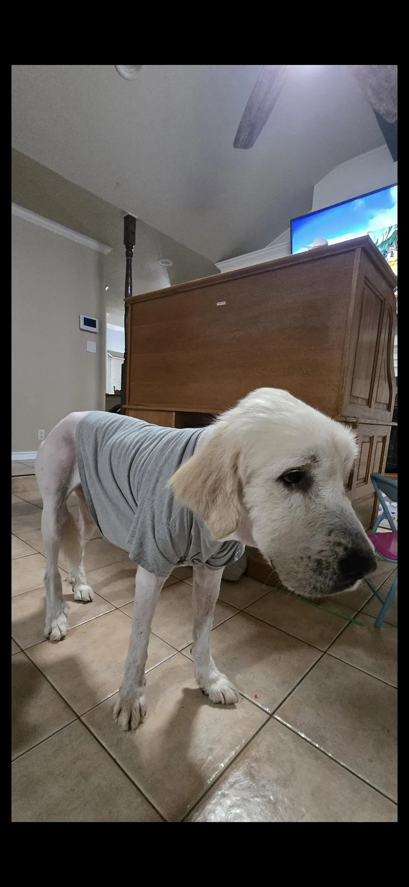 Judd Htx thumbnail 6