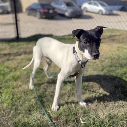 Charlotte thumbnail 2