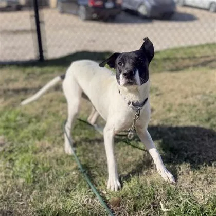 Charlotte thumbnail 3