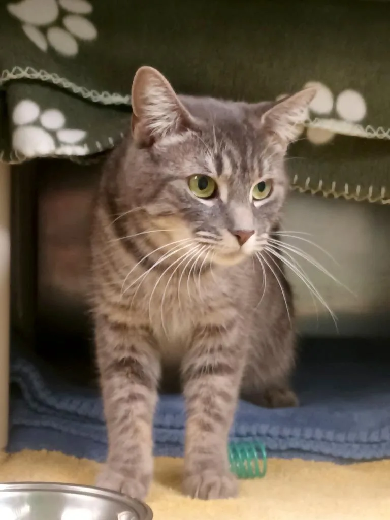 Freeloader thumbnail 2