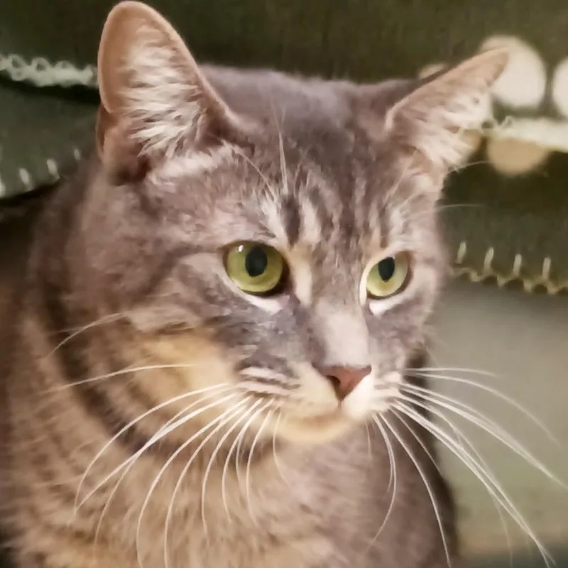 Freeloader thumbnail 3