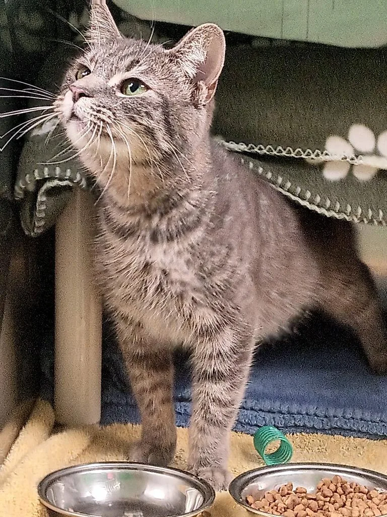 Freeloader thumbnail 4