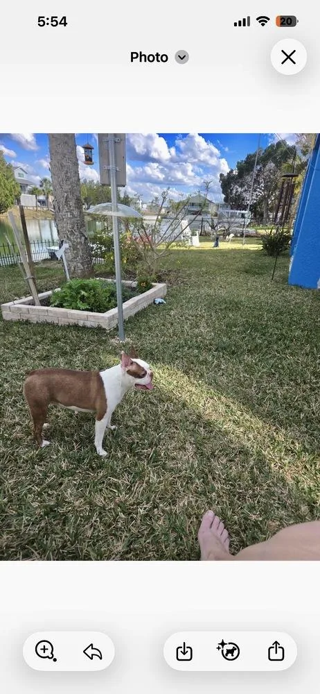 Lily Jean   thumbnail 2